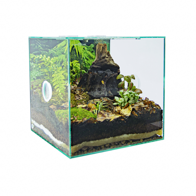PLANTCUBE - Vivarium 30x30x30 Biochorion